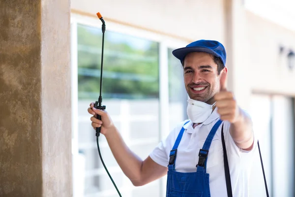 San Juan Capistrano Wasp Removal
