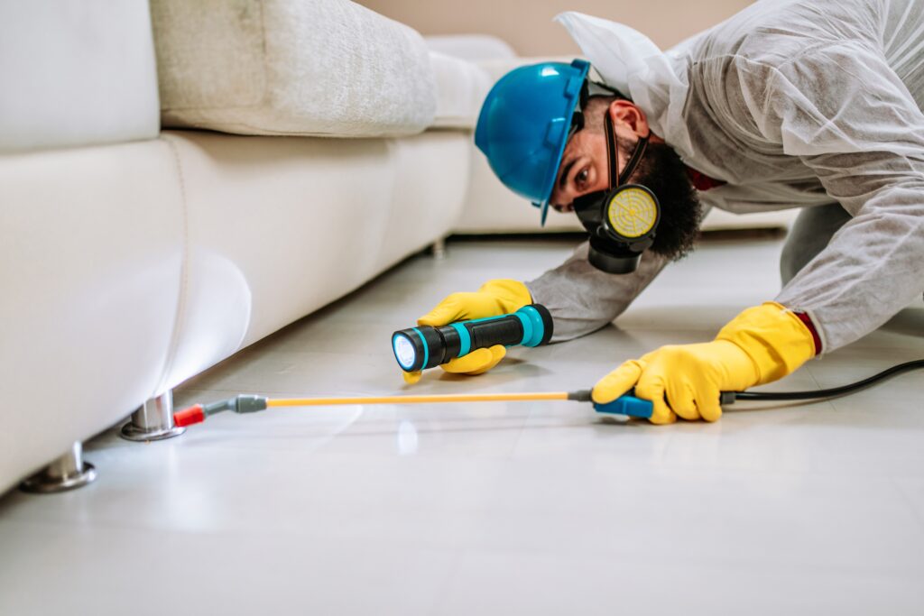 San Juan Capistrano Termite Control