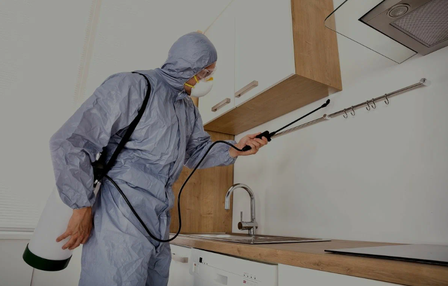 San Juan Capistrano pest managment